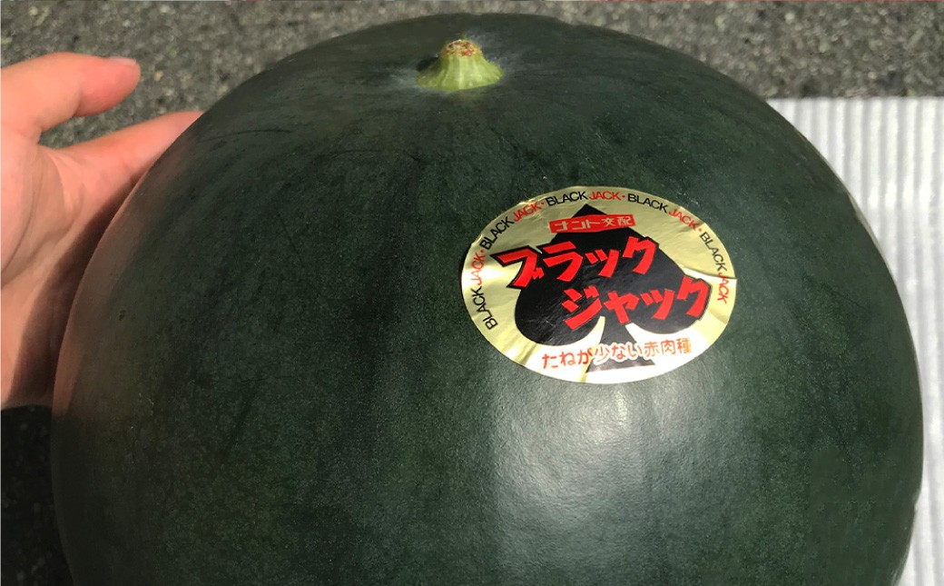 熊本県産ブラックジャック(高級西瓜) 約5kg