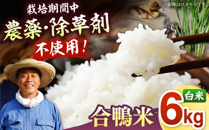 [栽培期間中農薬不使用]古野農場 合鴨農法 合鴨米（白米）6kg   