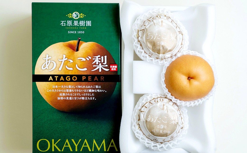 あたご梨 3～4玉 合計約1.5kg 化粧箱