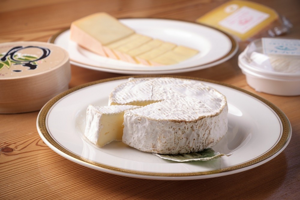 ※画像はイメージです