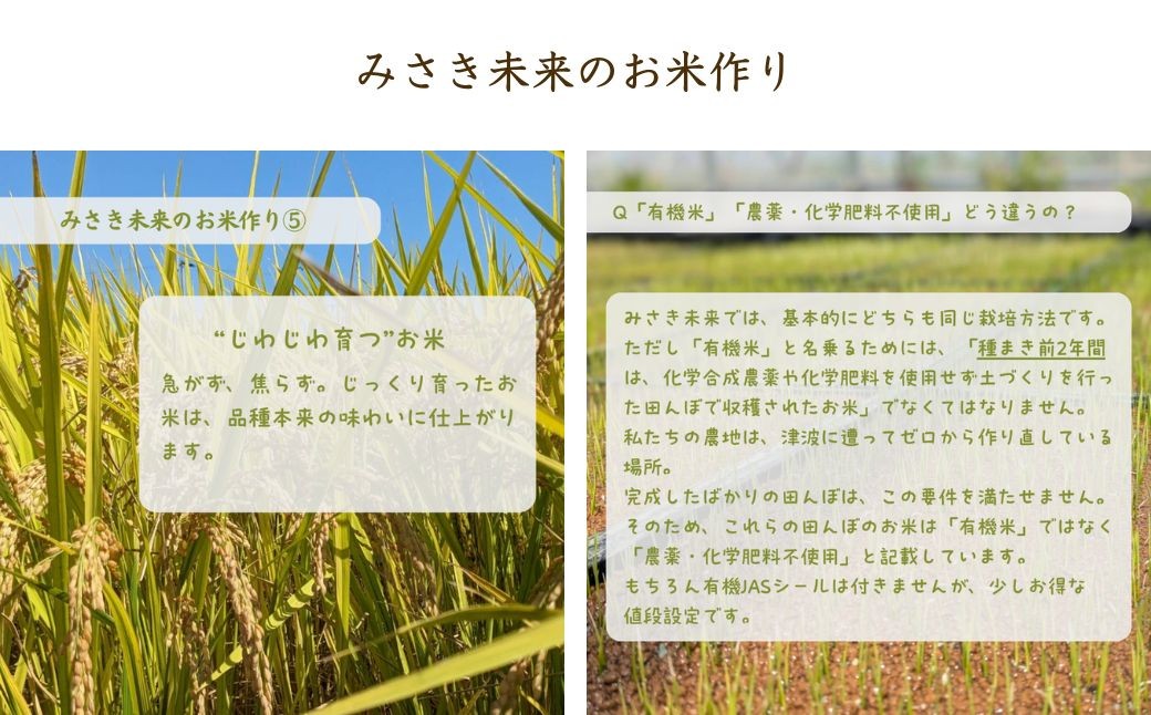 つきあかり 白米 10kg 有機的栽培 | 無農薬 農薬不使用 化学肥料不使用 精米 お米 米 こめ コメ 福島産 福島県産