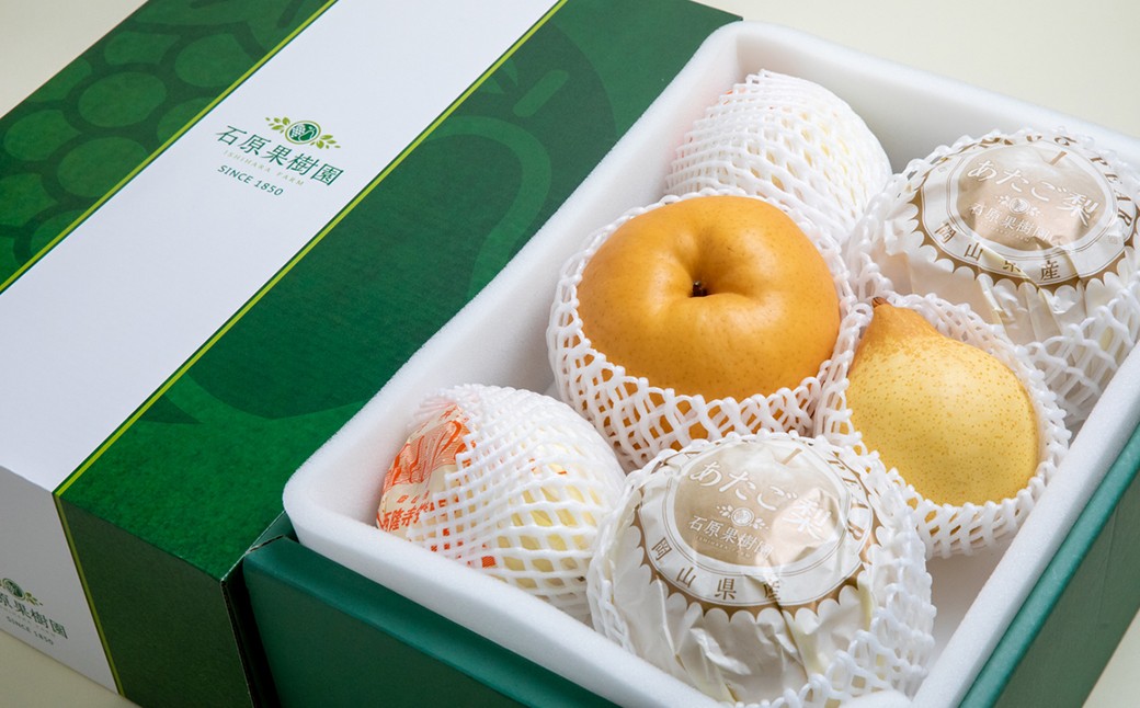 あたご梨・鴨梨（ヤーリー）詰合せ