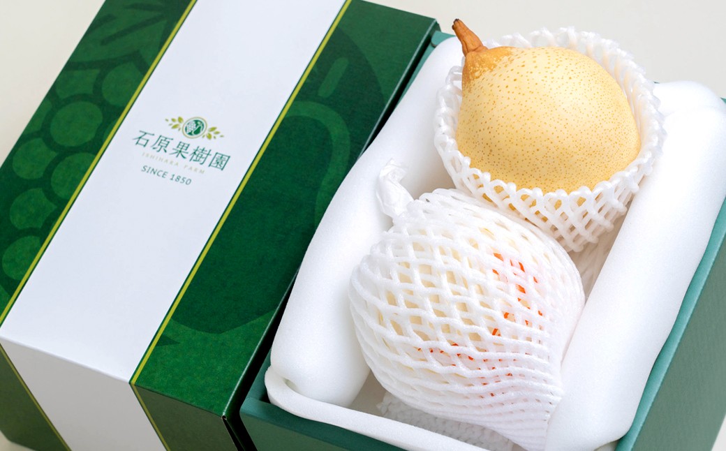 鴨梨（ヤーリー） 2玉 合計約1.5kg