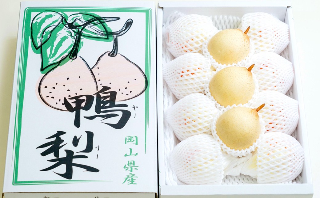 鴨梨（ヤーリー） 6～13玉 約4kg
