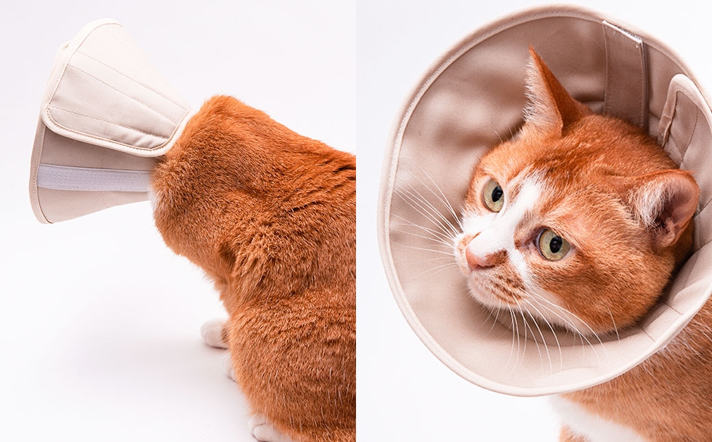 ぽぽねこ 軽くて柔らかい猫用エリザベスカラー