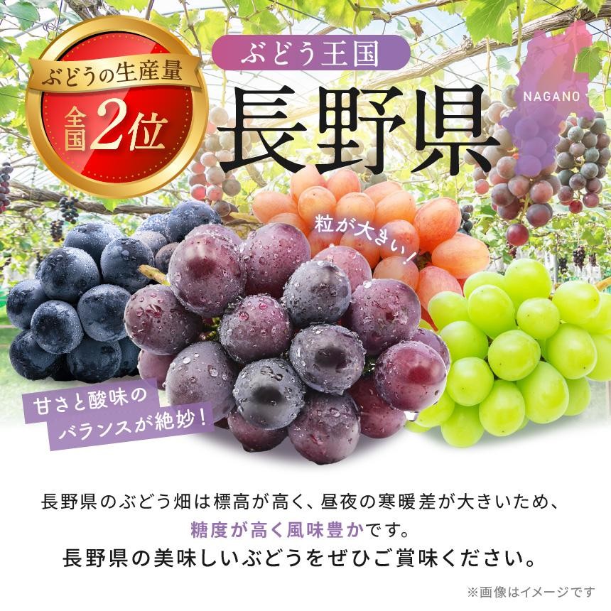 数量限定‼秋だけの贅沢“こく旨”ナイヤガラ