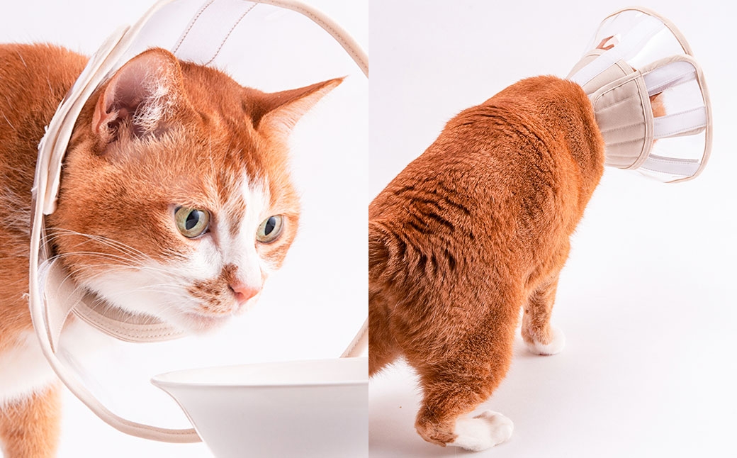 ぽぽねこ 軽くて柔らかい猫用エリザベスカラー