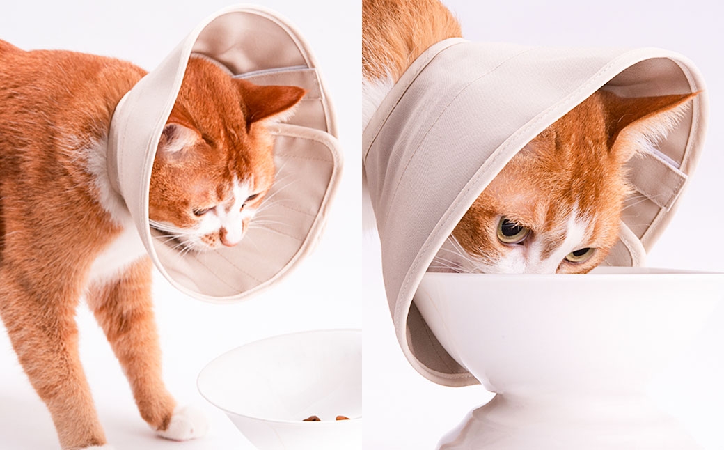 ぽぽねこ 軽くて柔らかい猫用エリザベスカラー