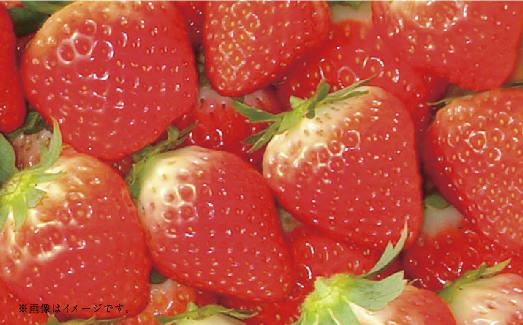 【フルーツ3回定期便】 球磨のいちご1kg×4パック＋アンデスメロン5kg＋桃1kg