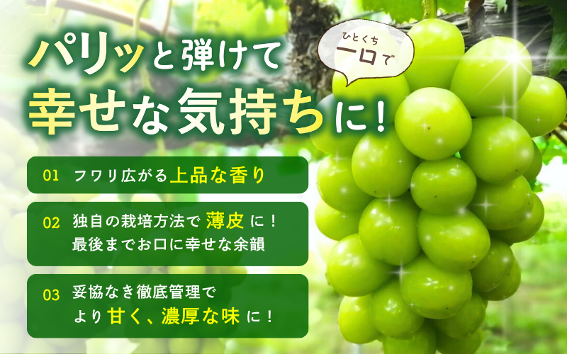 林ファミリーぶどう園の種なしシャインマスカットはパリッと弾けて一口で幸せな気持ちに!