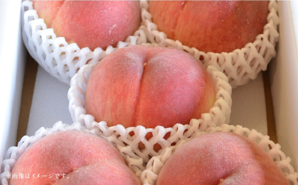 【フルーツ3回定期便】 球磨のいちご1kg×4パック＋アンデスメロン5kg＋桃1kg