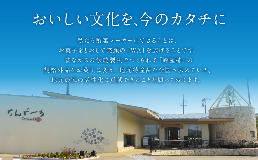 蜂屋柿詰め合わせセット 10個入