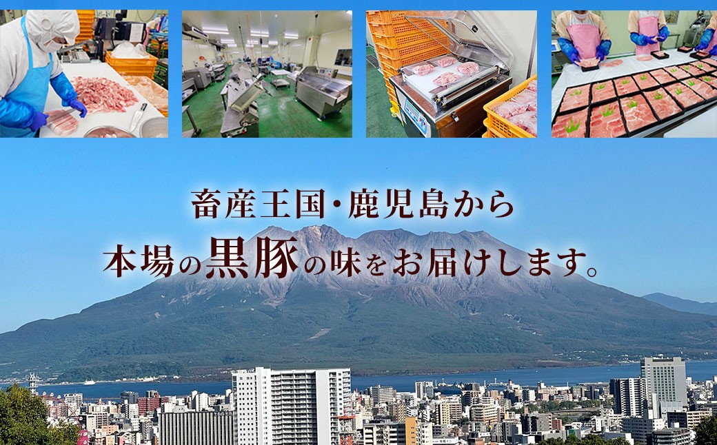 【6ヶ月定期便】鹿児島県産黒豚 大容量小分けパック切り落とし 合計12kg（2kg×6回）