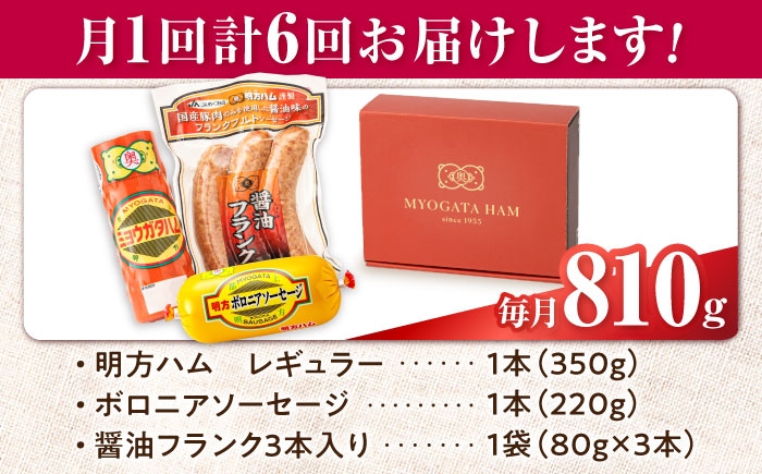 ハム 定期 便利 明方ハム フランクフルト ボロニアソーセージ ソーセージ 国産 つめあわせ 国産豚 