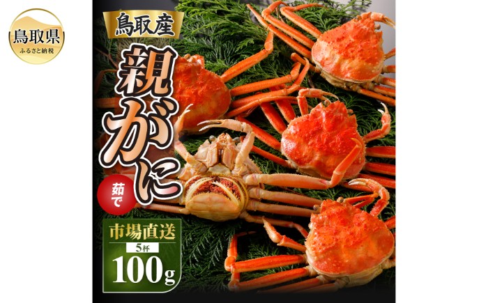 B25-055 【2025年11月発送】鳥取県産 特撰 親がに 姿【セコガニ】（茹）【訳あり】100g 5杯