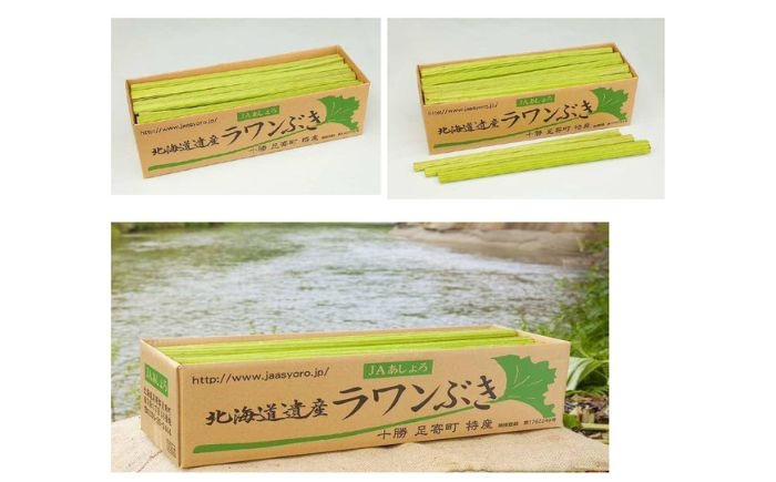 ふき フキ ラワンブキ 螺湾ぶき 山菜 足寄町産 北海道産 道産 国産 足寄町