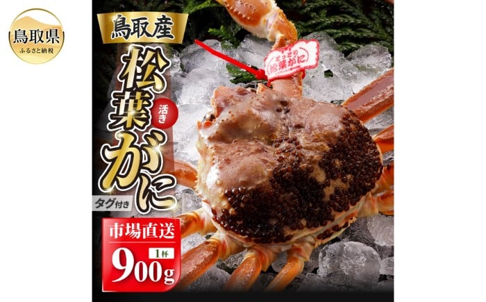 E25-019 【2025年11月発送】特撰 松葉がに（なま）【ブランドタグ付き】900g超の大きいサイズ