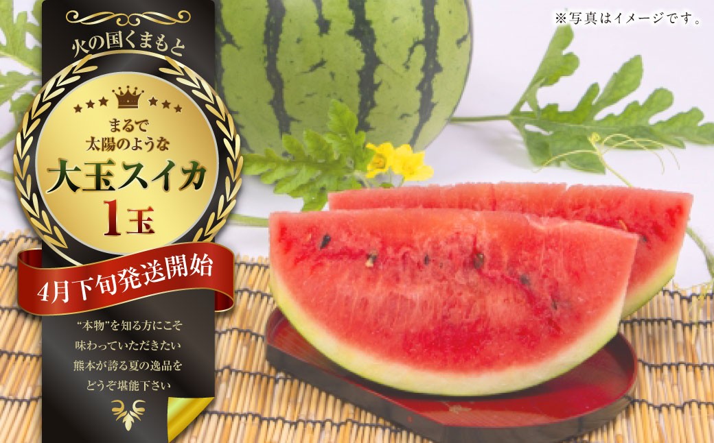 まるで火の国くまもとの太陽のような大玉スイカ1玉（熊本県産）