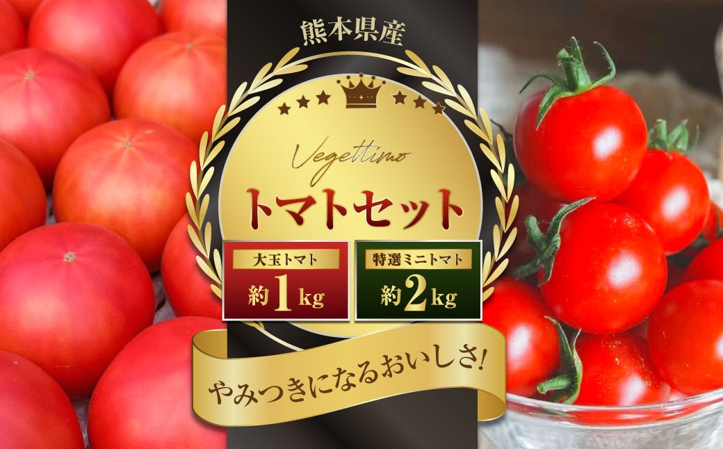【2026年1月下旬発送開始】Vegettimoトマトセット 大玉トマト1kg+特選ミニトマト2kg(熊本県産)