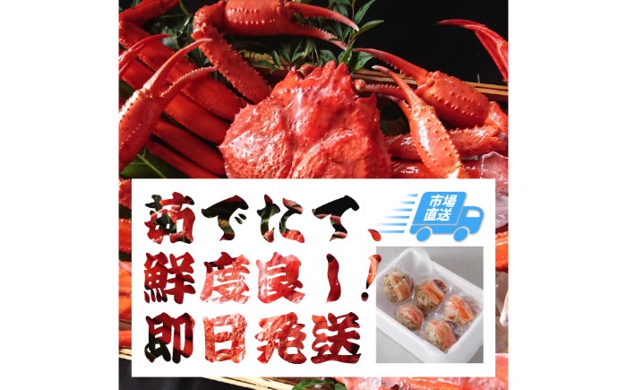 D25-018 鳥取産 特撰 紅ズワイガニ【釜茹で】2kg 4～5杯