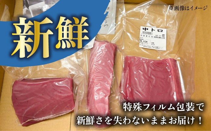 【全3回定期便】五島列島産 養殖 生本かみマグロ 赤身 300g / まぐろ 鮪 刺身 ブロック