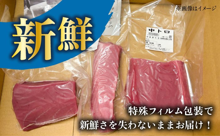 【全6回定期便】 五島列島産 養殖 生本かみマグロ 赤身 300g / まぐろ 鮪 刺身 ブロック