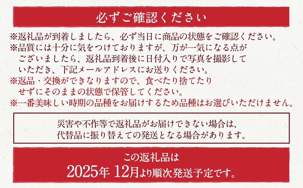 【5回定期便】よかもんいちご 2品種食べ比べセット