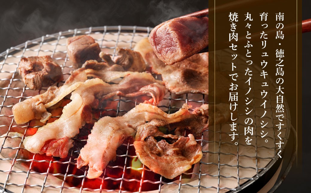 【セット】イノシシ焼肉1kg 王冠の雫 『琥珀』100ml×1本 セット ジビエ ロース サイコロ バラ 調味料