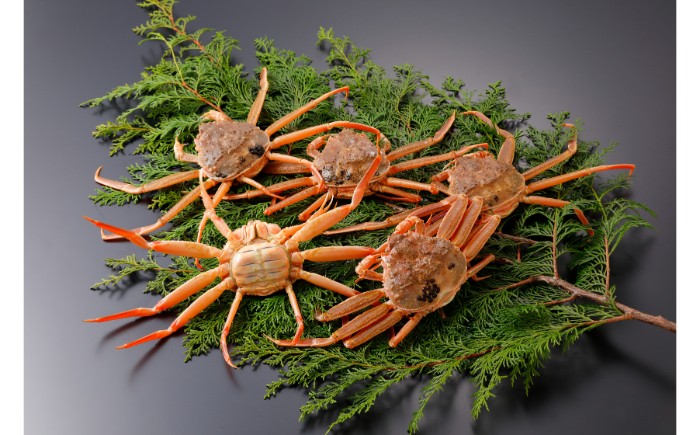 B25-054 【2025年11月発送】鳥取県産 特撰 親がに 姿【セコガニ】（なま）【訳あり】100g 5杯