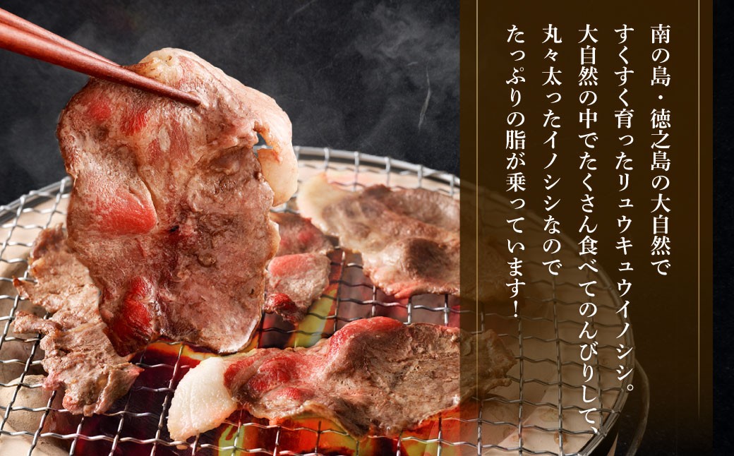 【セット】イノシシ ロース肉 900g 王冠の雫 『瑪瑙』100ml×1本 セット ロース肉 調味料 
