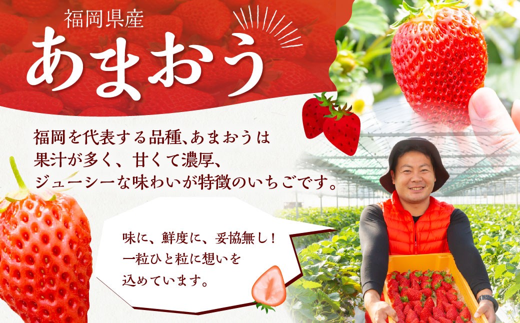 よかもんいちご あまおう大粒苺のギフトセットB