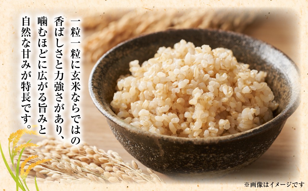 一粒一粒に玄米ならではの香ばしさ