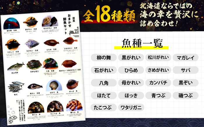 海鮮 朝獲れ 産地直送 セット 詰め合わせ 冷蔵配送 北海道 