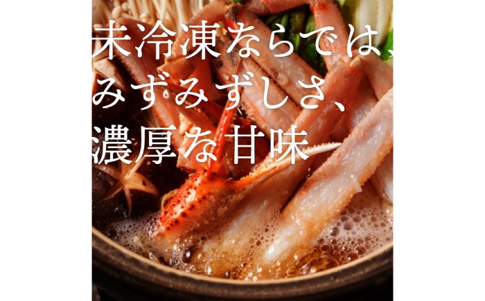 D25-019 鳥取産 特撰 紅ズワイガニ【釜茹で】3kg 6～7杯