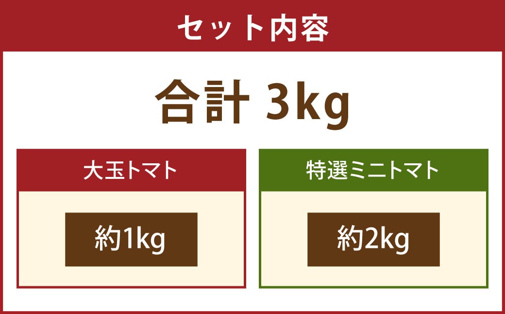 【2026年1月下旬発送開始】Vegettimoトマトセット 大玉トマト1kg+特選ミニトマト2kg(熊本県産)