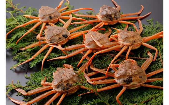 B25-055 【2025年11月発送】鳥取県産 特撰 親がに 姿【セコガニ】（茹）【訳あり】100g 5杯