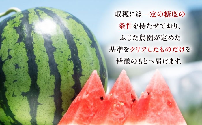 すいか スイカ 西瓜 くだもの フルーツ 果物 祭りばやし 祭り 夏 水分補給 熱中症対策 梅雨前出荷  贈答 ギフト 