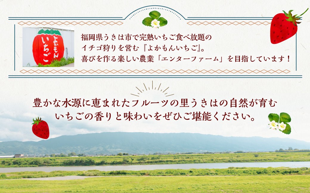 【5回定期便】よかもんいちご 2品種食べ比べセット