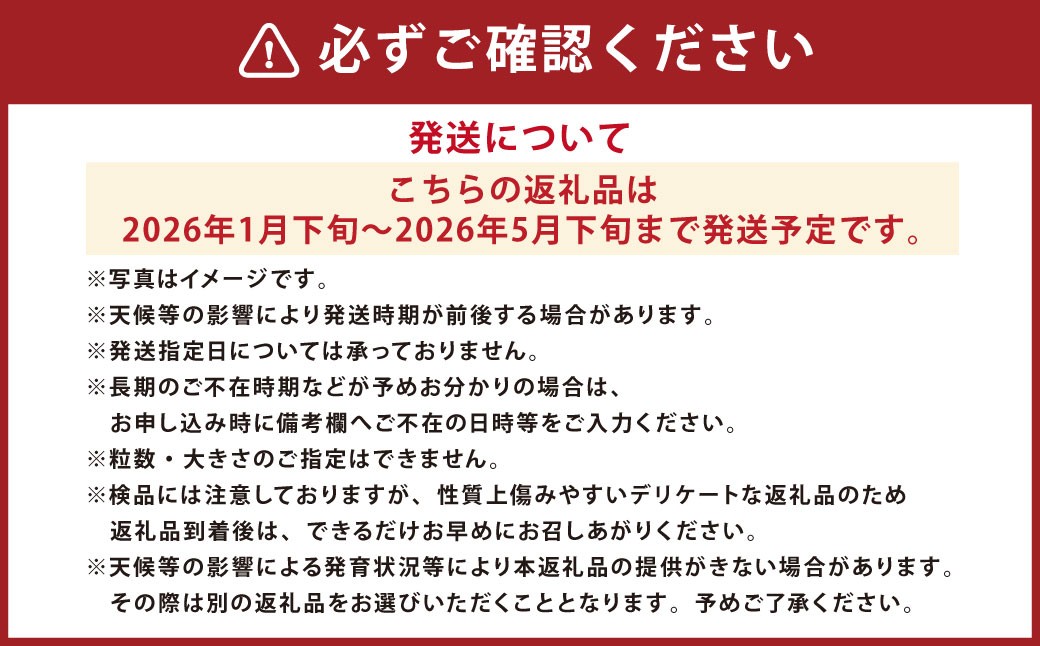 太陽の恵みを閉じ込めた真っ赤な大玉トマト2kg(熊本県産)