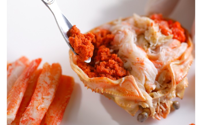 B25-054 【2025年11月発送】鳥取県産 特撰 親がに 姿【セコガニ】（なま）【訳あり】100g 5杯