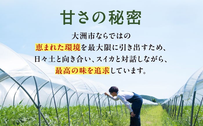 すいか スイカ 西瓜 くだもの フルーツ 果物 祭りばやし 祭り 夏 水分補給 熱中症対策 梅雨前出荷  贈答 ギフト 