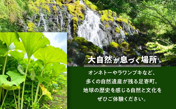 ラズベリー 炭酸飲料 炭酸 炭酸入り オリジナル 北海道産 足寄町 北海道