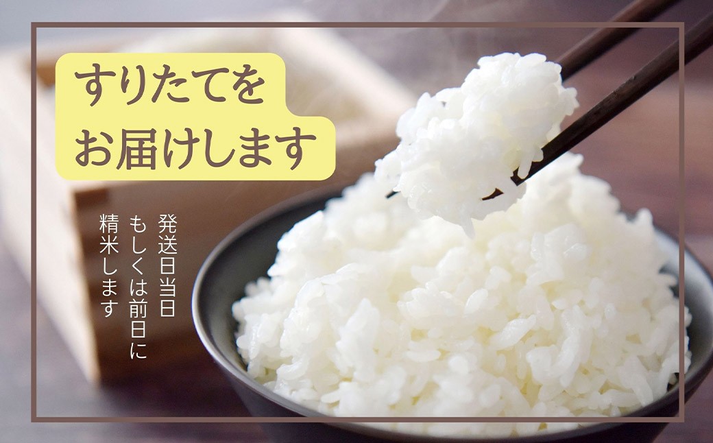 【偶数月6回定期便】甘くてもっちり 岩手県産きらほ 乾式無洗米 5kg 三右エ門こだわりのお米