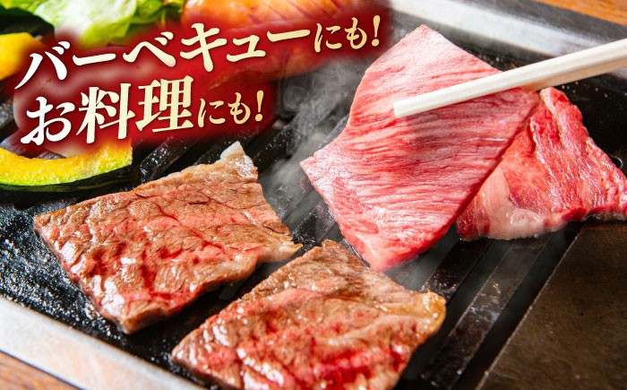 牛肉 焼肉 和牛 黒毛和牛 ブランド牛 冷凍 冷凍配送 贅沢 BBQ 焼肉用