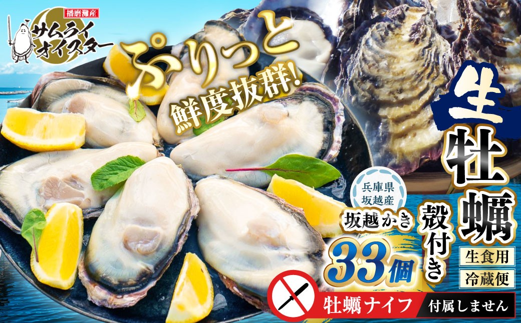坂越かき 殻付き 33個【ナイフなし】