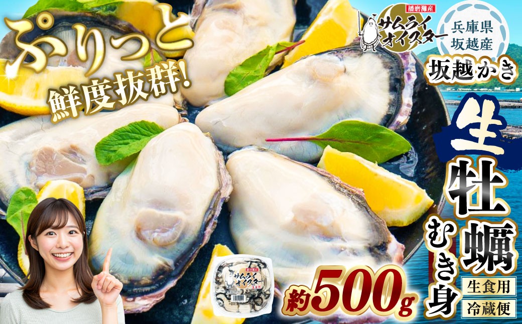坂越かき むき身 約500g×1パック