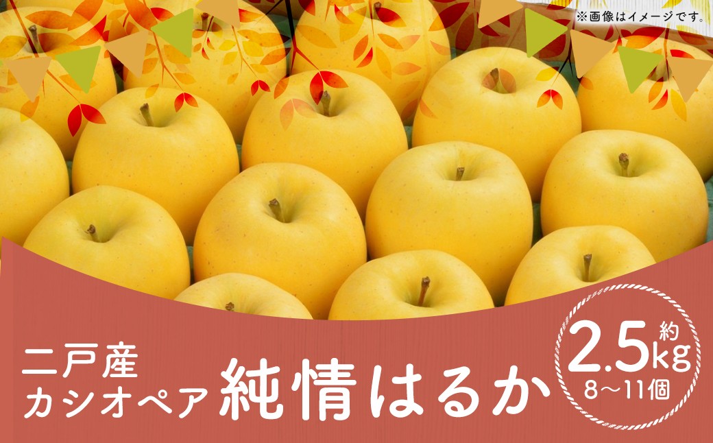 【2025年12月上旬-下旬発送予定】二戸産カシオペア　純情はるか　約2.5kg