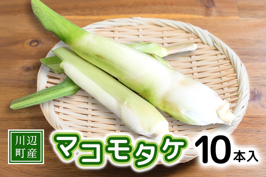 真空状態にして配送いたします。