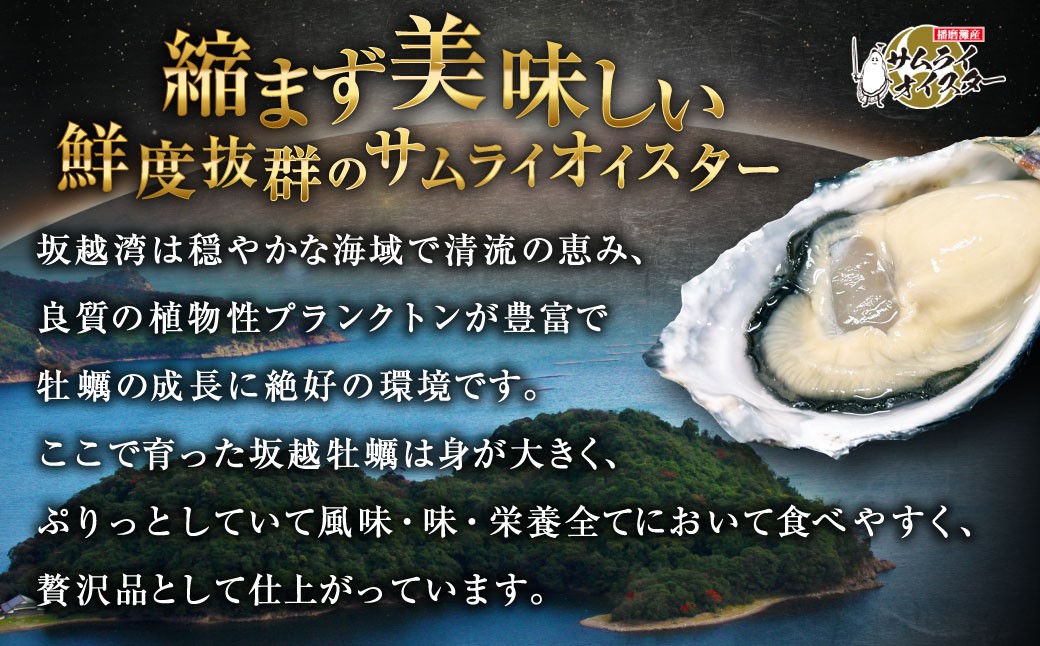 坂越かき 殻付き 50個(牡蠣ナイフ・軍手付き)