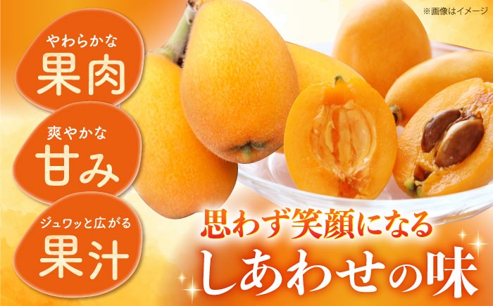 びわ ビワ 枇杷 果物 フルーツ 早生 わせ 果実 長崎県産 国産